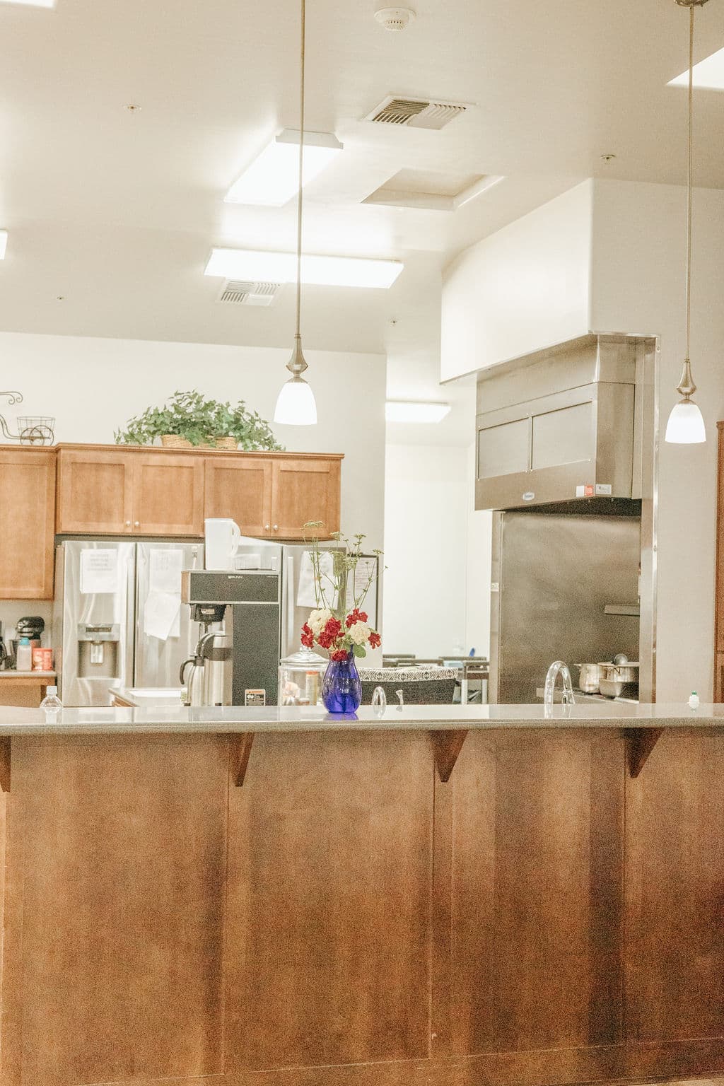 The kitchen at Redwood Park seen across its wooden serving counter, with a vase of red and white flowers and a coffee station